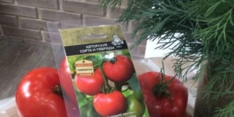 Vatreni paradajz f1: opis sorte, fotografije, recenzije